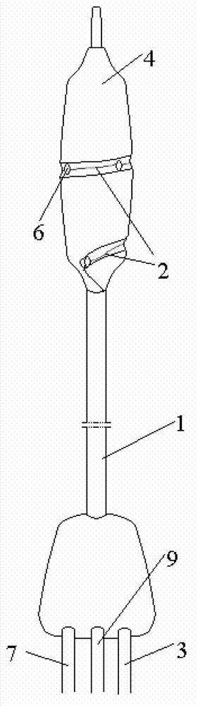 Electrical ablation balloon radiofrequency catheter in percutaneous renal artery