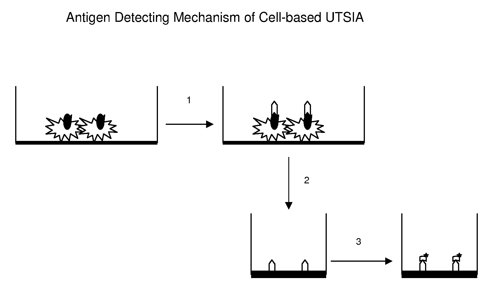 Universal tandem solid-phases based immunoassay