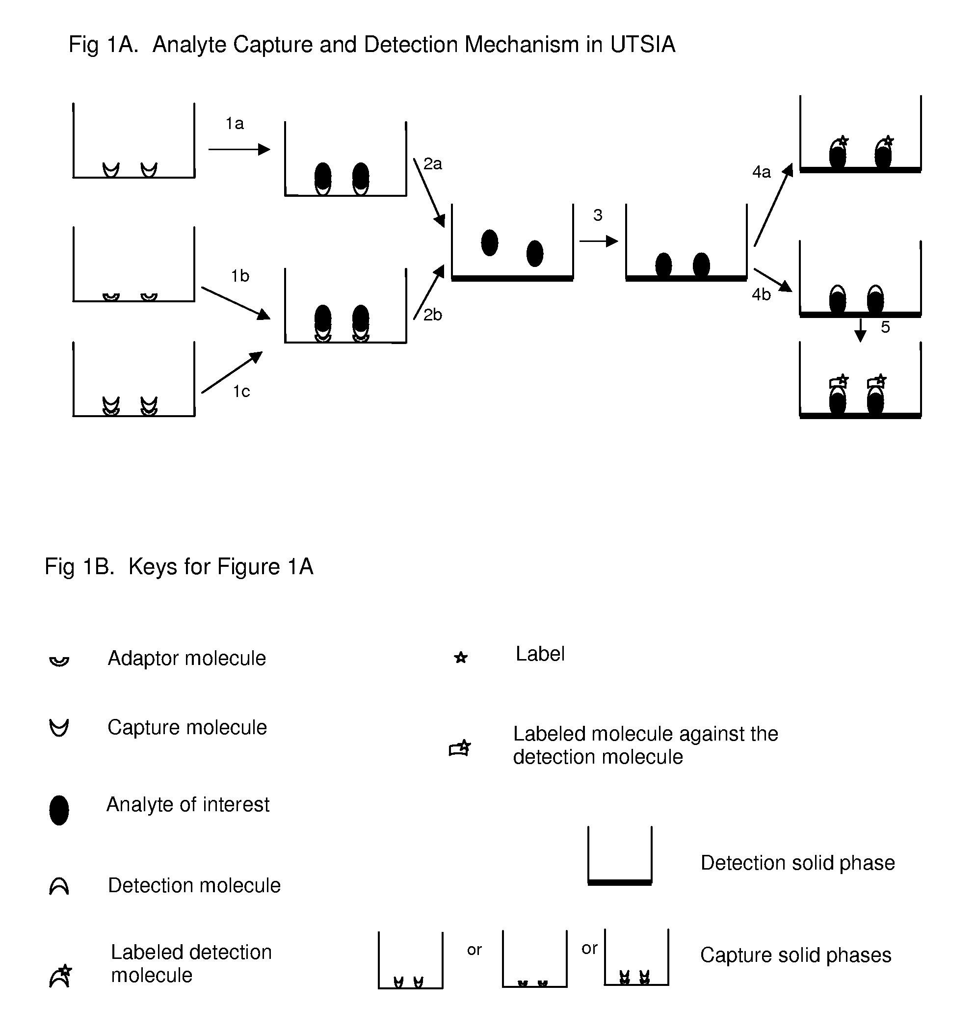 Universal tandem solid-phases based immunoassay