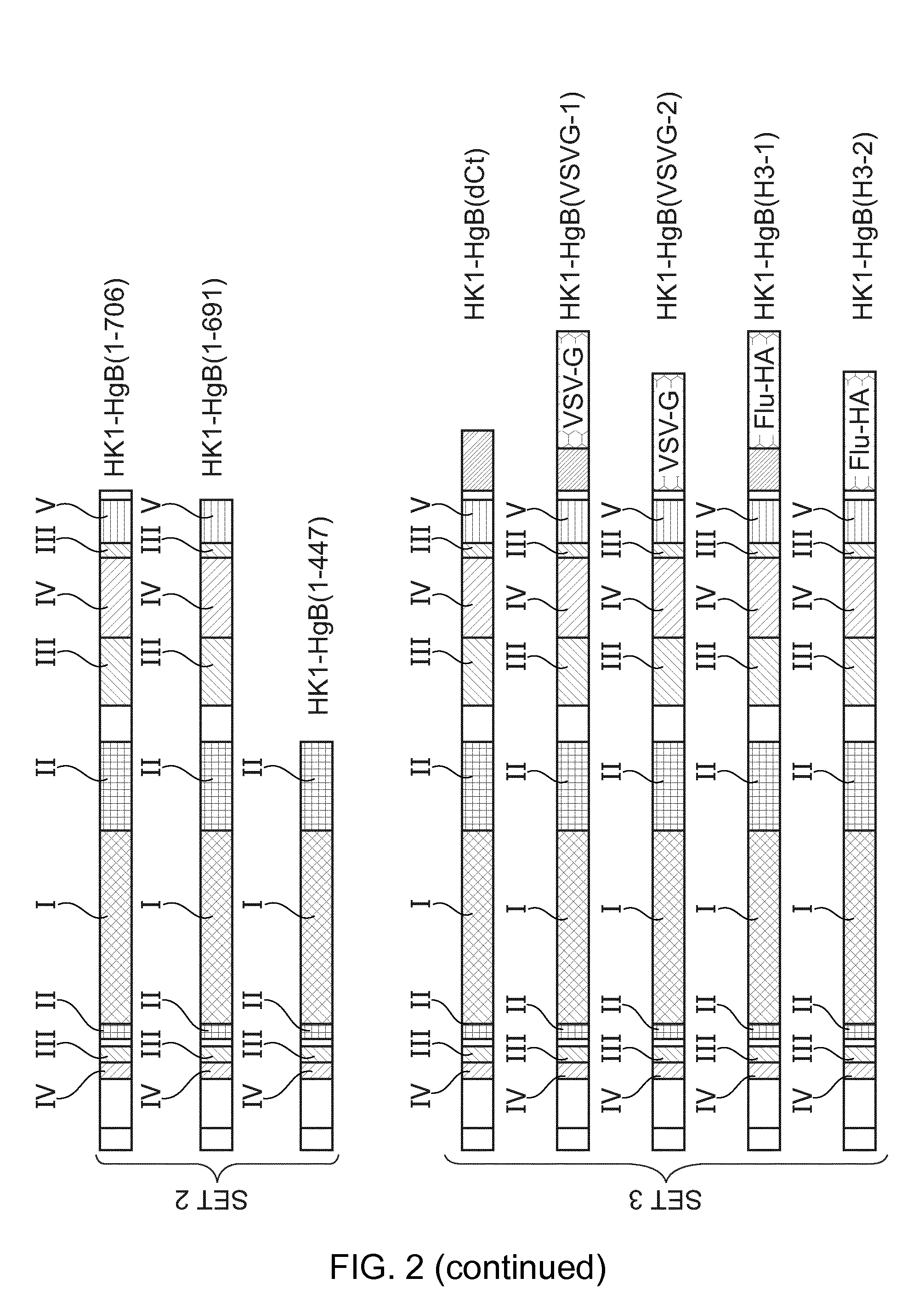 Cmv vaccines