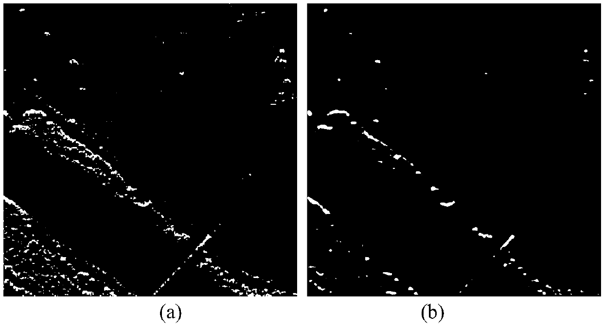 Denoising Method of Synthetic Aperture Radar SAR Image Based on Parameter Estimation in Shear Wave Domain