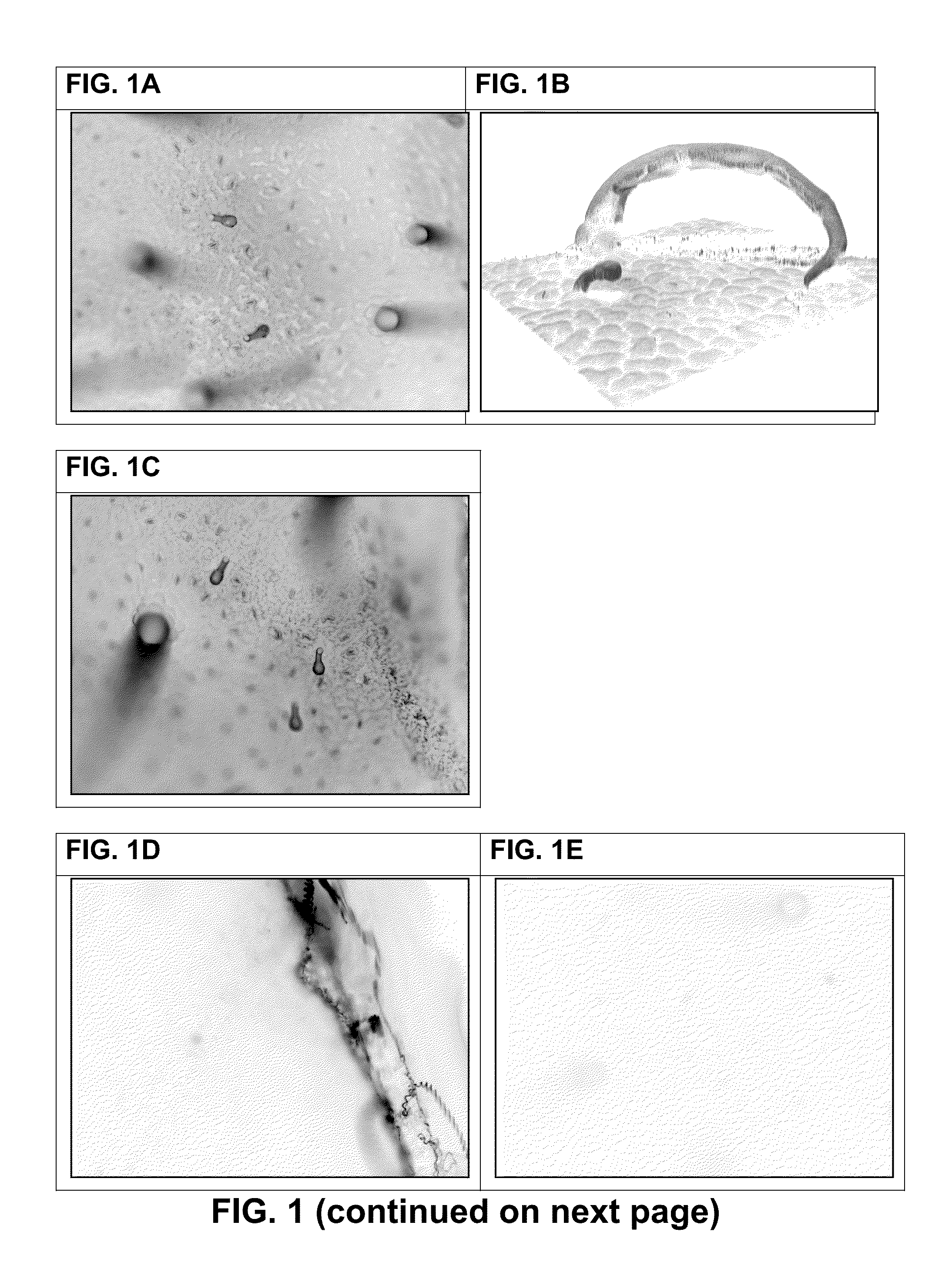 Specific delivery of agrochemicals