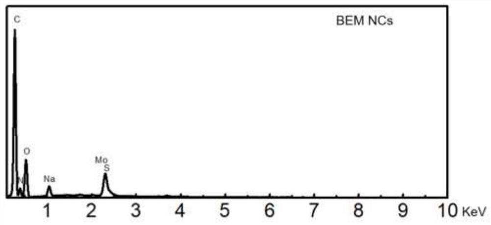 A bovine serum albumin-tea polyphenol-molybdenum nanocomposite and its application