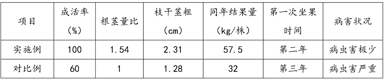 Soil improvement method for planting fruit trees