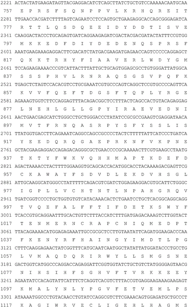 Hyperglycosylatedhuman coagulation factor VIII fusion protein and preparation method and application thereof