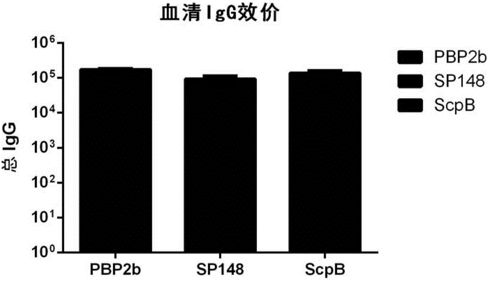 Streptococcus pneumoniae vaccine