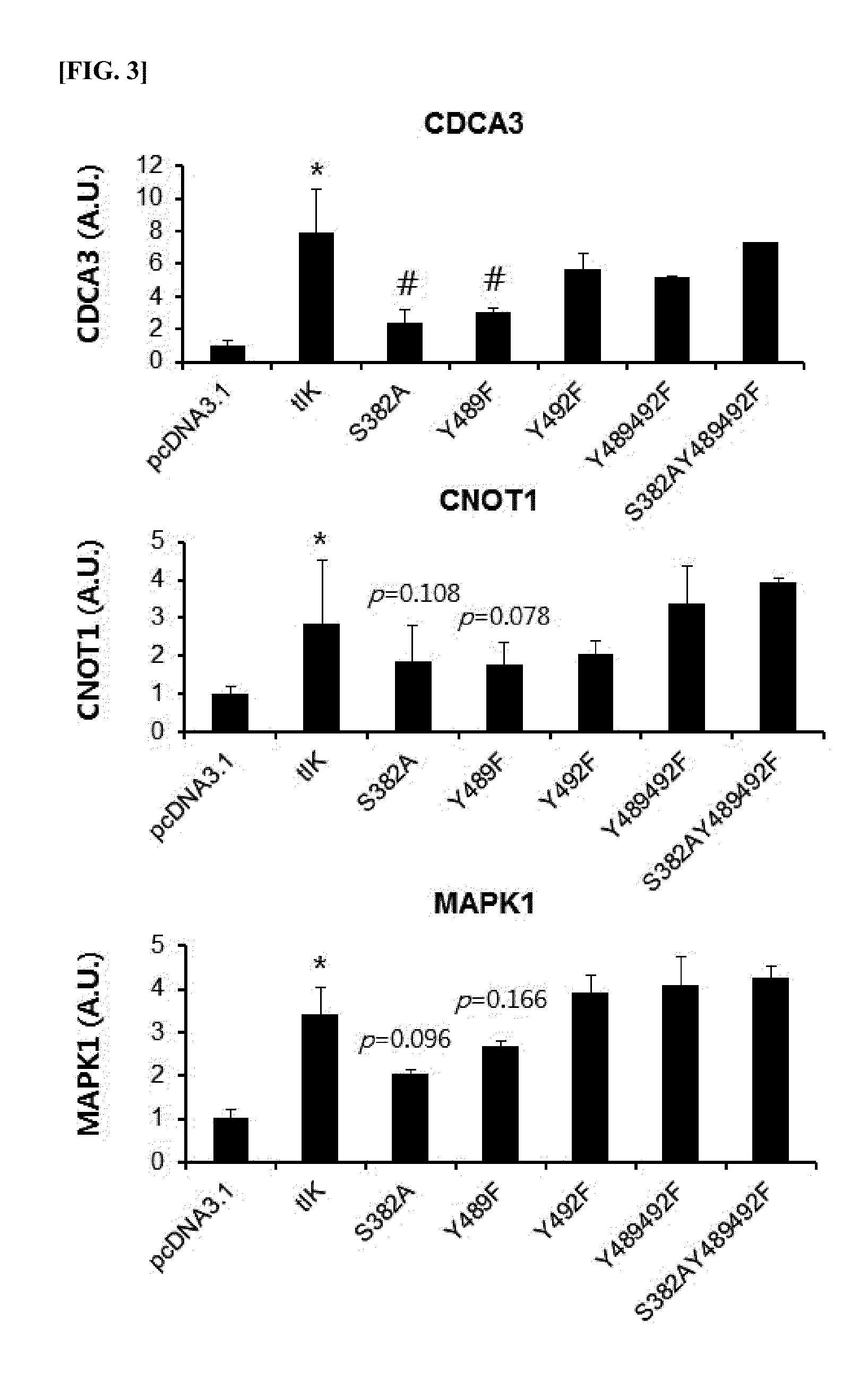 IK factor and pharmaceutical use of nucleic acid encoding IK factor