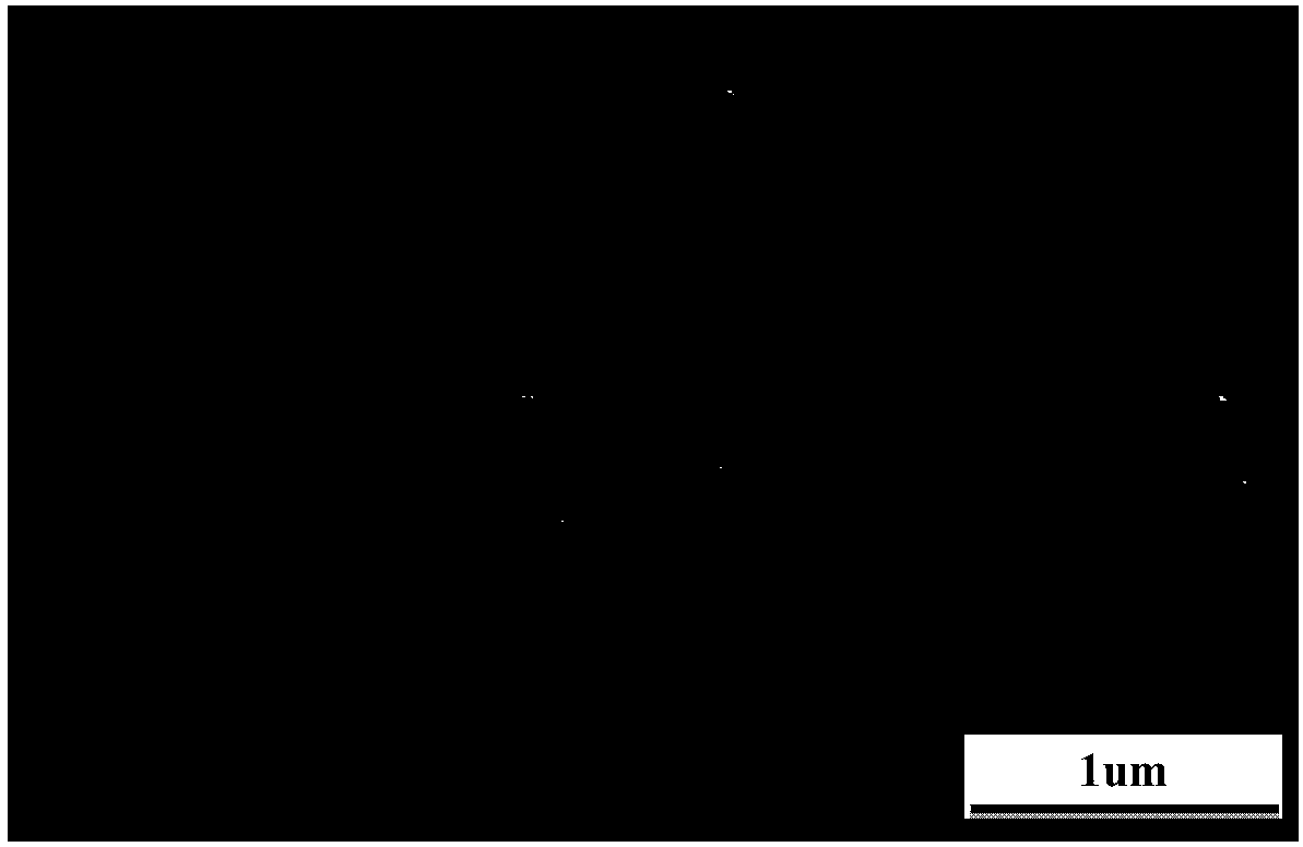 Preparation method of Ta-based high-temperature protection coating with self-healing function