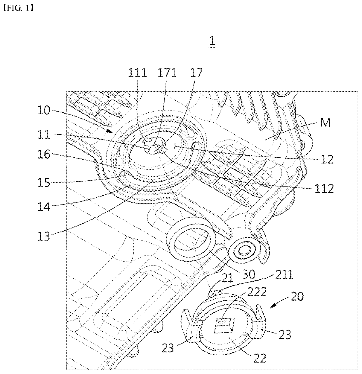 Oil drain plug apparatus