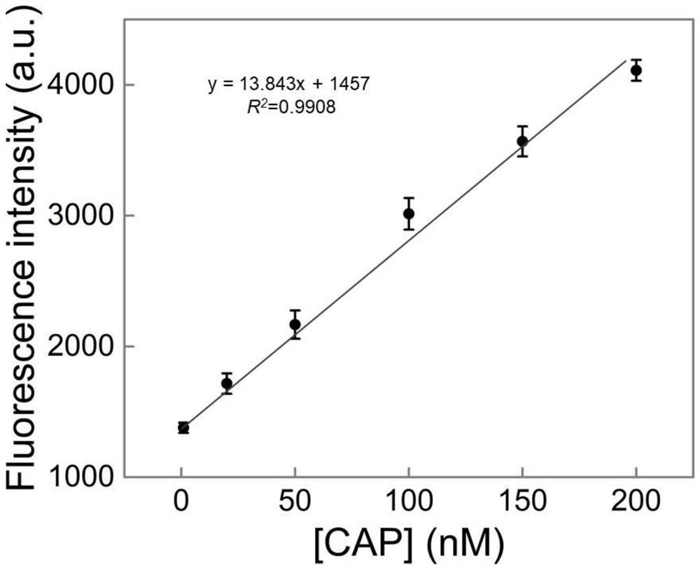 Double-head triple-helix nucleic acid probe and method for detecting chloramphenicol by using same