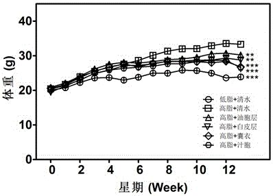 A lipid-lowering application of extract of trifoliate orange