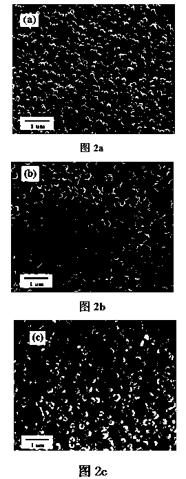 Preparation method of silver nano particle coated zinc oxide nano tube substrate