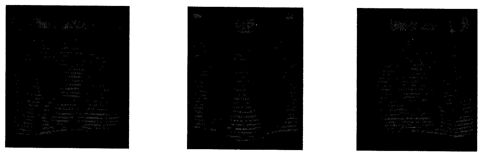 Wide view field type infrared light three-dimensional morphology measurement method and device thereof