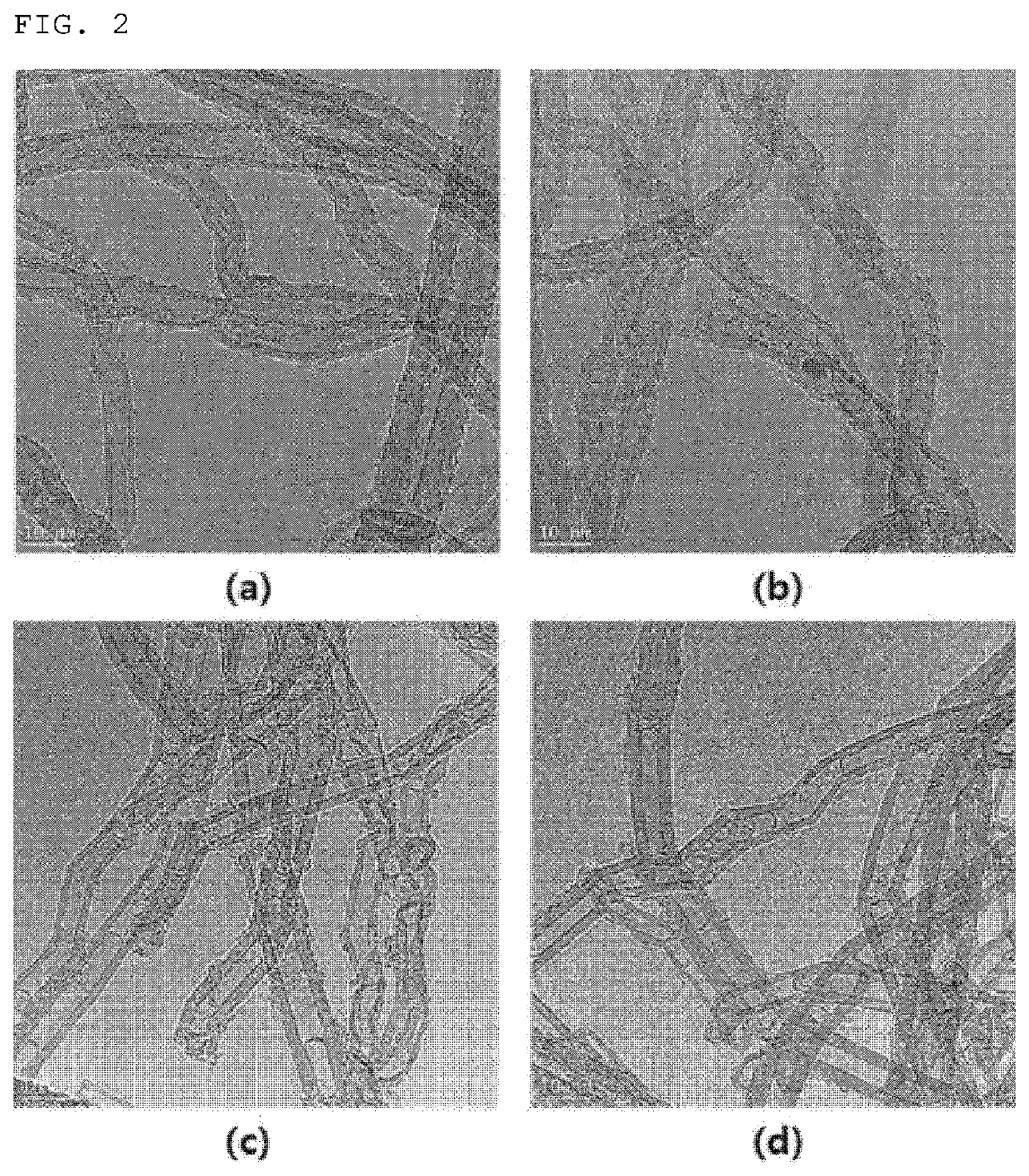 Carbon Nanotube, And Electrode And Secondary Battery Including Carbon Nanotube