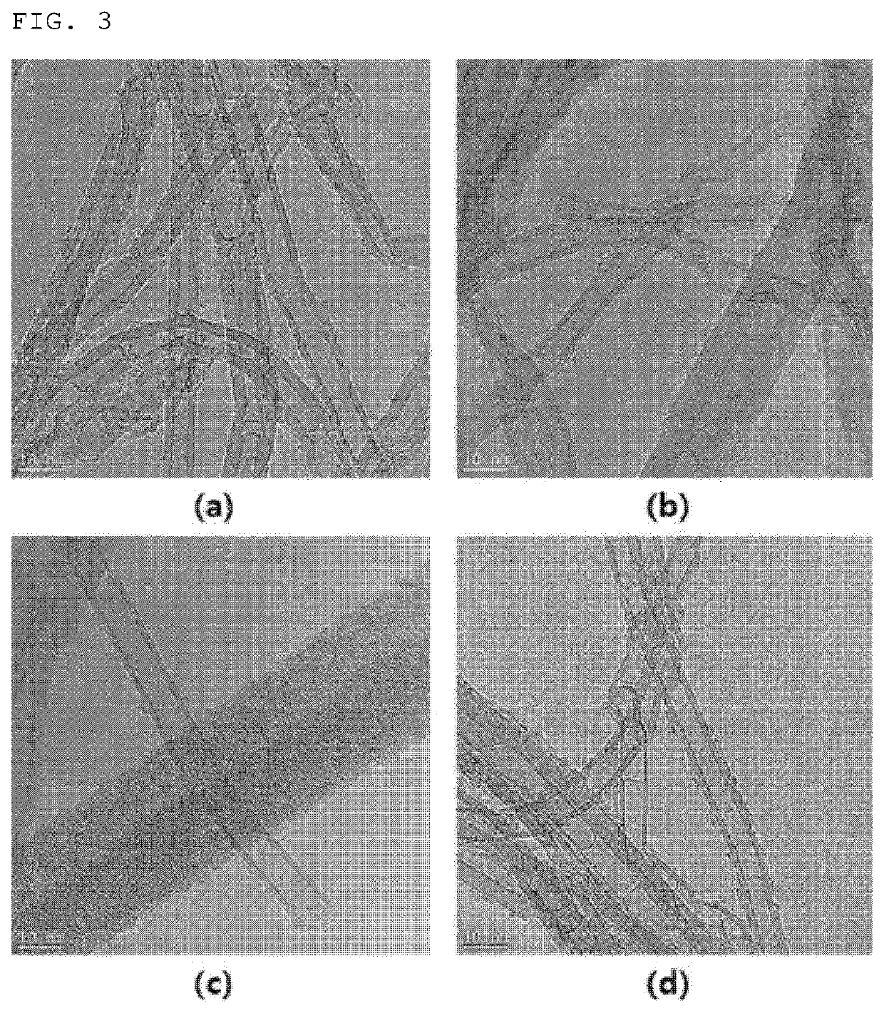 Carbon Nanotube, And Electrode And Secondary Battery Including Carbon Nanotube