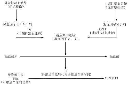 Anticoagulant blackberry seed polysaccharides, and extraction separation method and application thereof