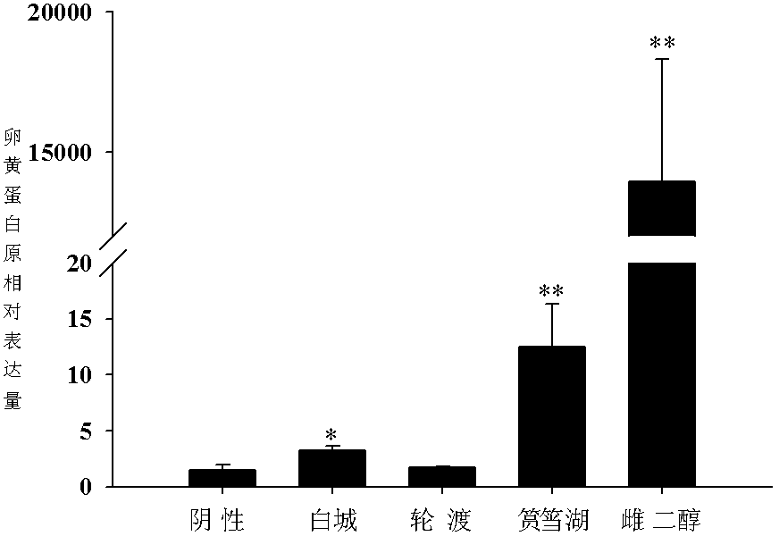 Water estrogen pollution detection method based on oryzias melastigma vitellogenin