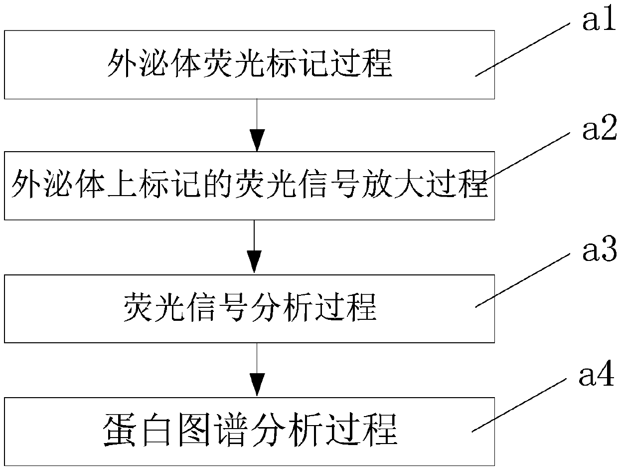 Cancer detection system based on exosome and method thereof