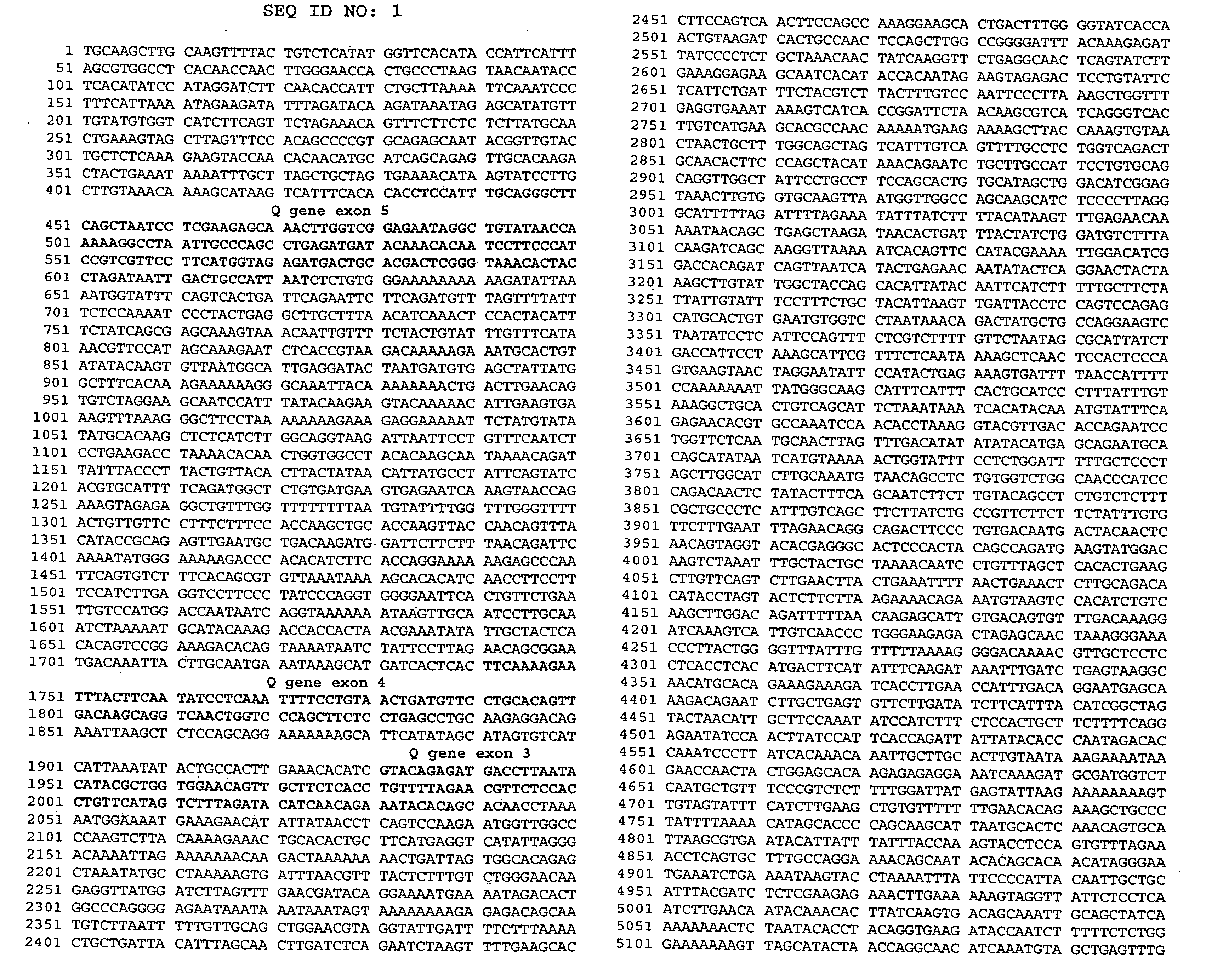 Avian transgenesis using an ovalbumin nucleotide sequence