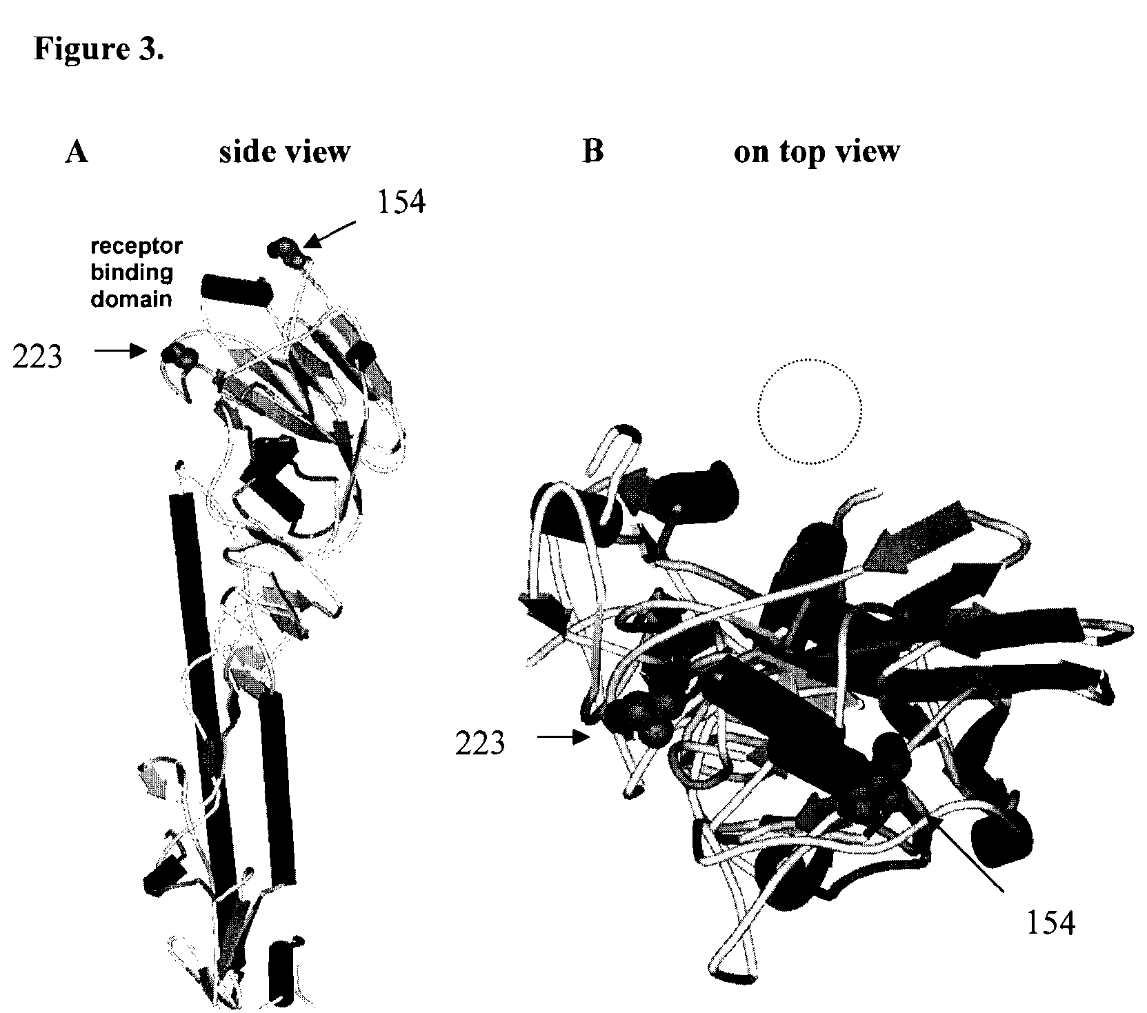 Modified influenza virus for monitoring and improving vaccine efficiency