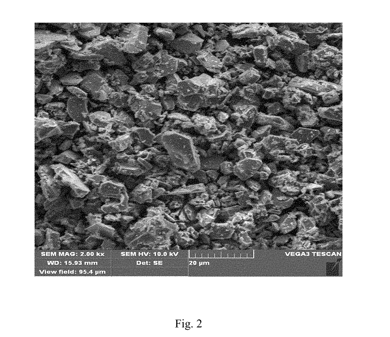 Composite material and method for preparing the same