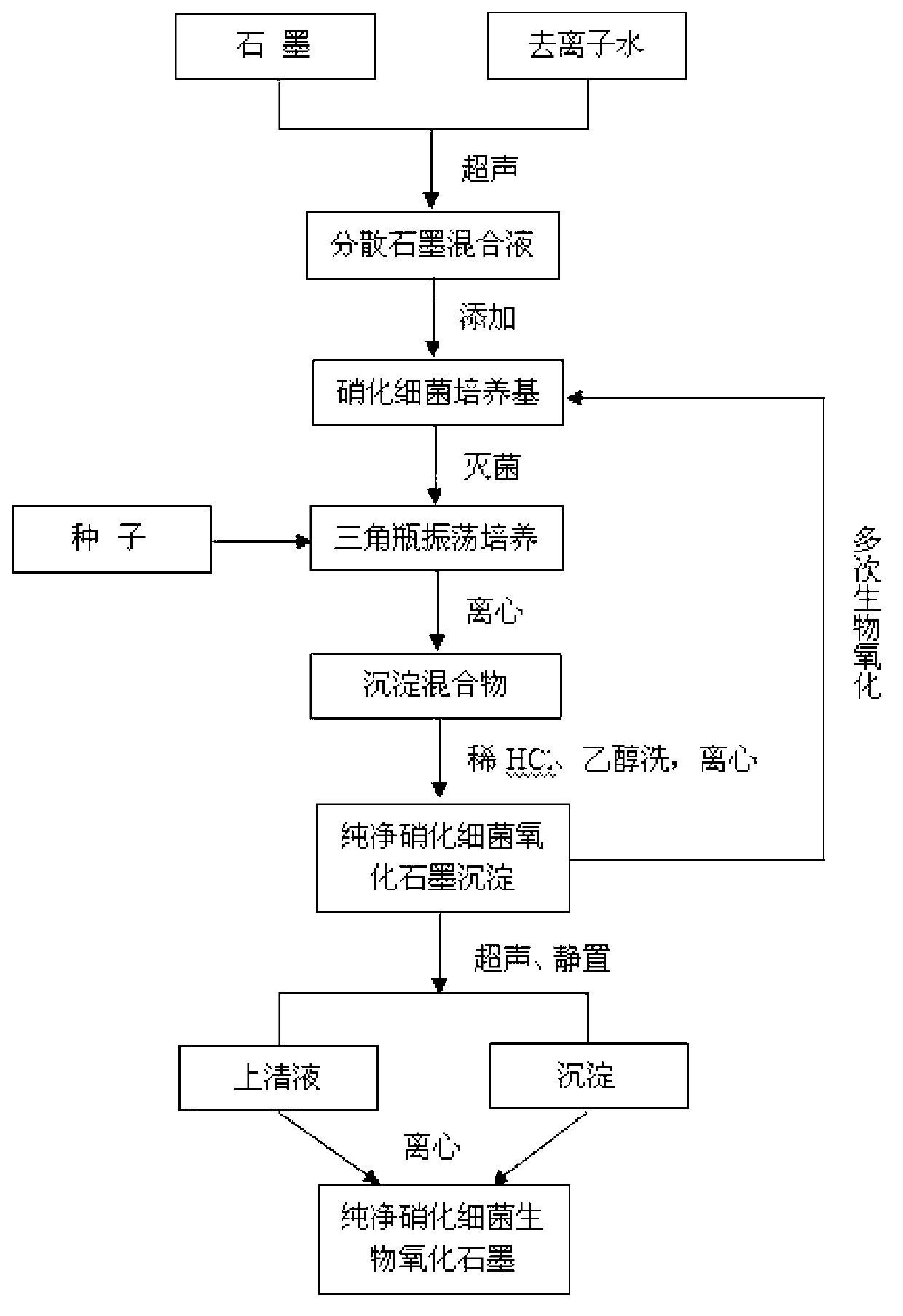 Biologic graphite oxide obtained by nutrifying bacteria and preparation method for biologic graphite oxide