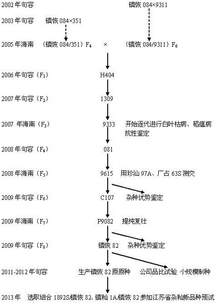 A kind of breeding method of rice indica parent-japonica restorer line