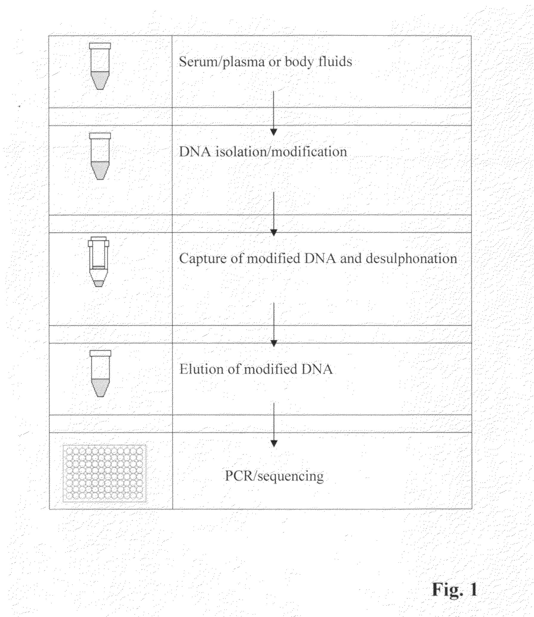 Method for isolating and modifying DNA from blood and body fluids