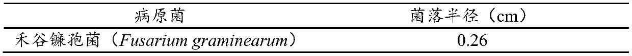 Bacillus velezensis and application thereof in degrading deoxynivalenol (DON)