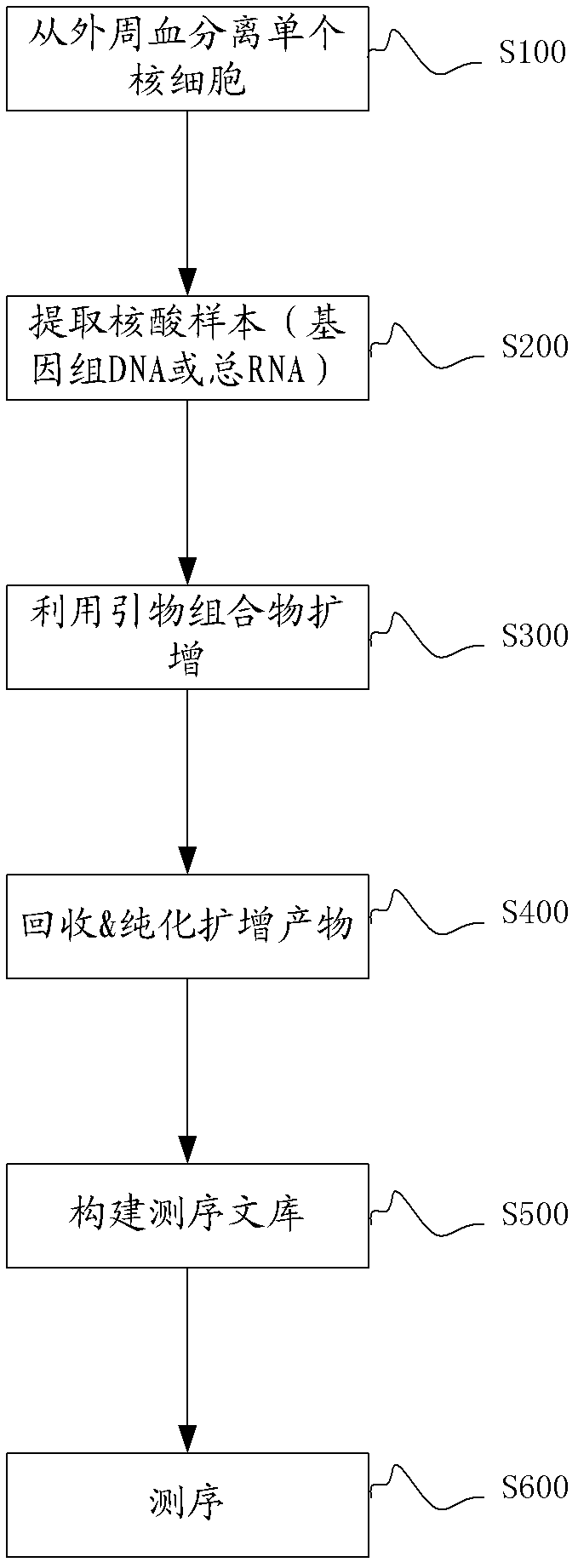 Primer combination for amplifying alpha chain CDR3 (complementary determining region 3) coding sequences of T cell receptor and use of primer combination