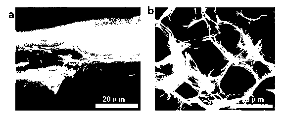 Manufacturing method of graphene foam