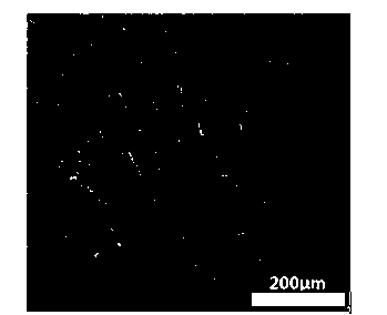 Manufacturing method of graphene foam