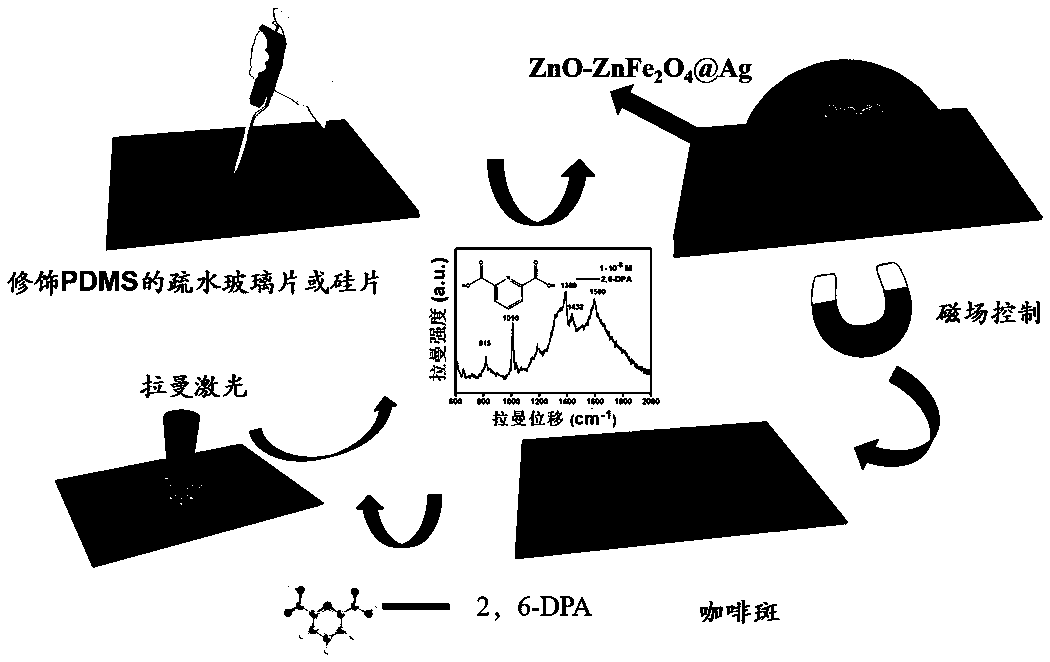 Compact surface-enhanced Raman spectroscopy (SERS) substrate and preparation method and application thereof