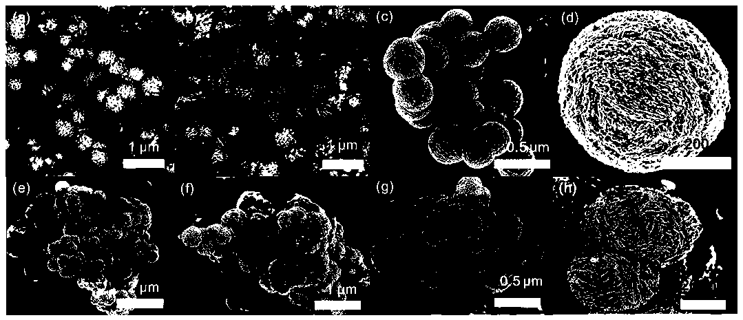 Compact surface-enhanced Raman spectroscopy (SERS) substrate and preparation method and application thereof