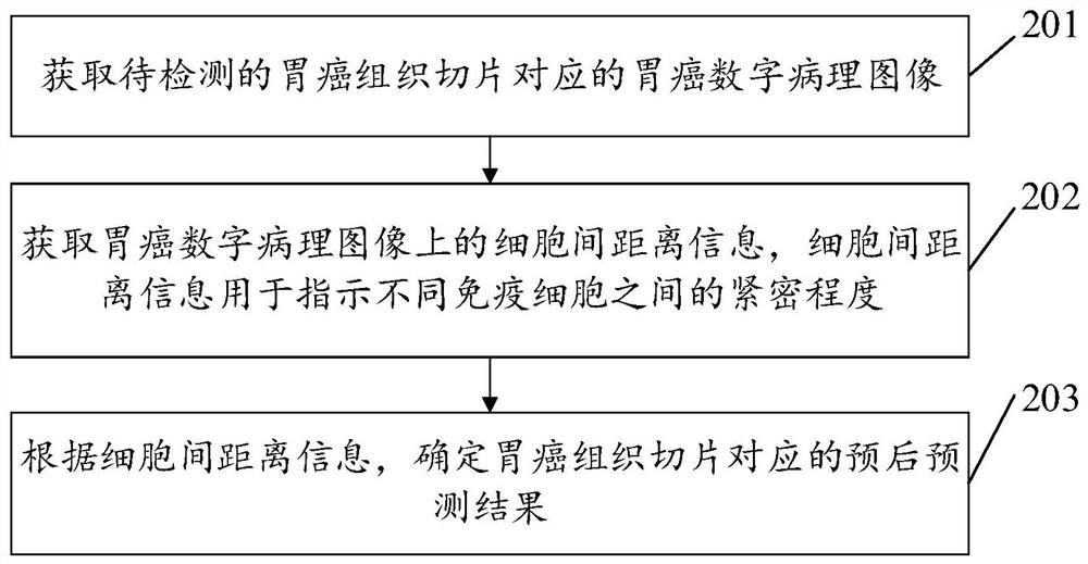 Gastric cancer prognosis prediction device