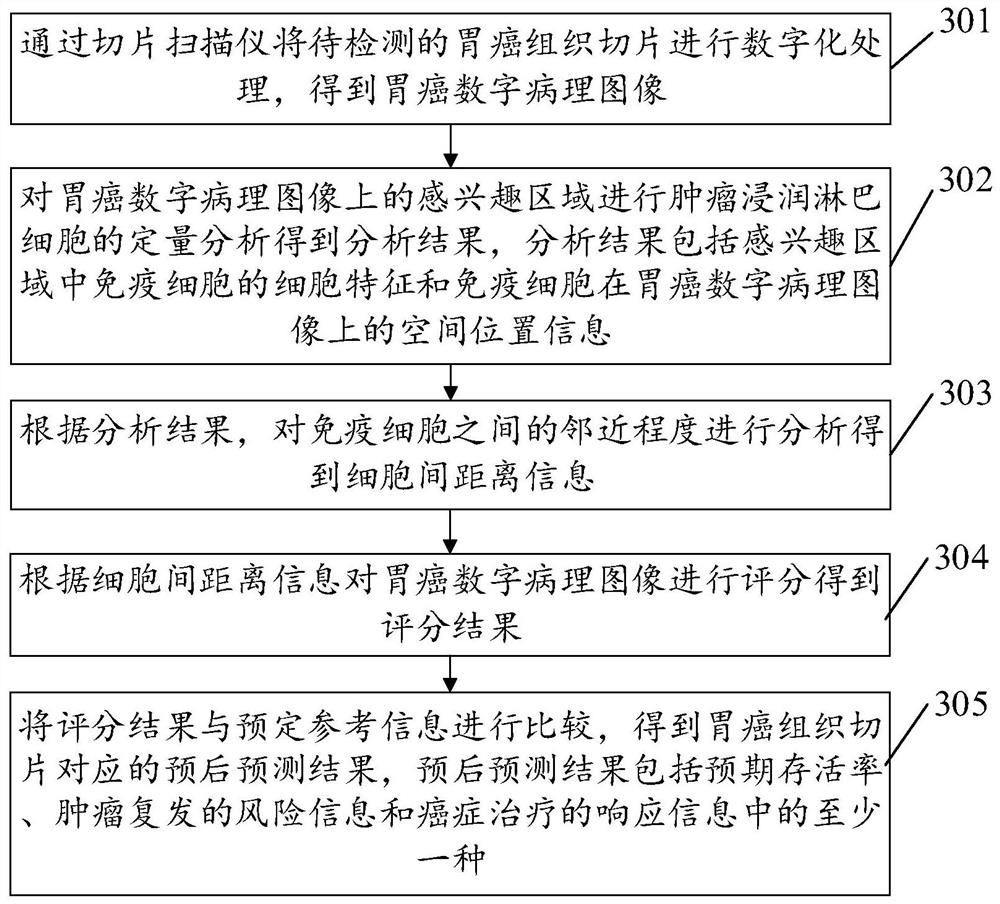 Gastric cancer prognosis prediction device