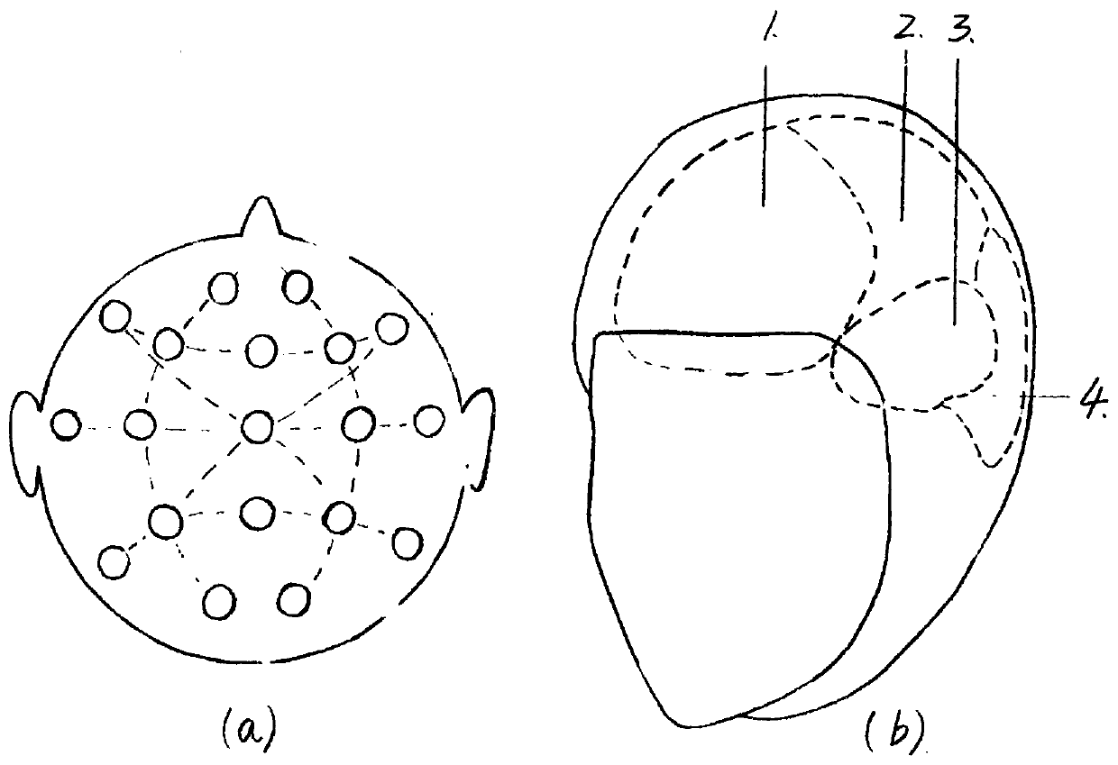 Sucked type wearable flexible MEG cap for measuring human brain magnetic field signals