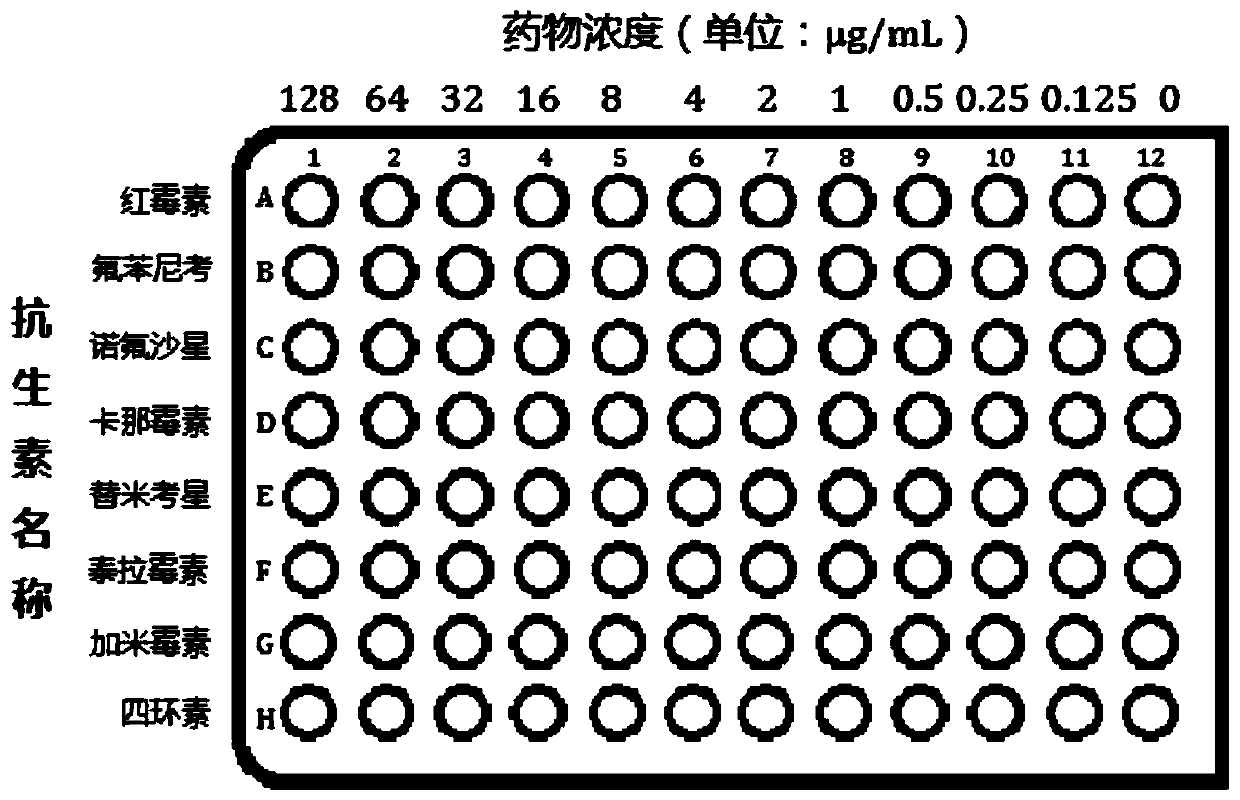 A kind of mycoplasma bovis drug susceptibility rapid detection kit and preparation method thereof