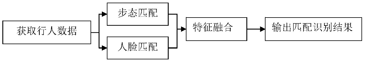 Access control system with integration of face recognition and gait recognition