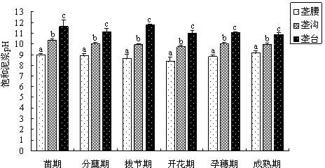 Rice ridge culture salt-avoiding water-saving planting method of severe soda saline-alkali soil