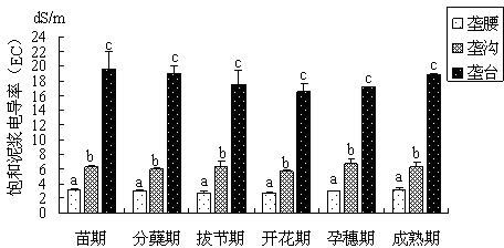 Rice ridge culture salt-avoiding water-saving planting method of severe soda saline-alkali soil