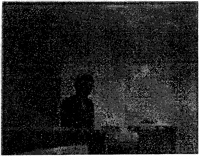 Method for detecting characteristics of video object in finite complex background