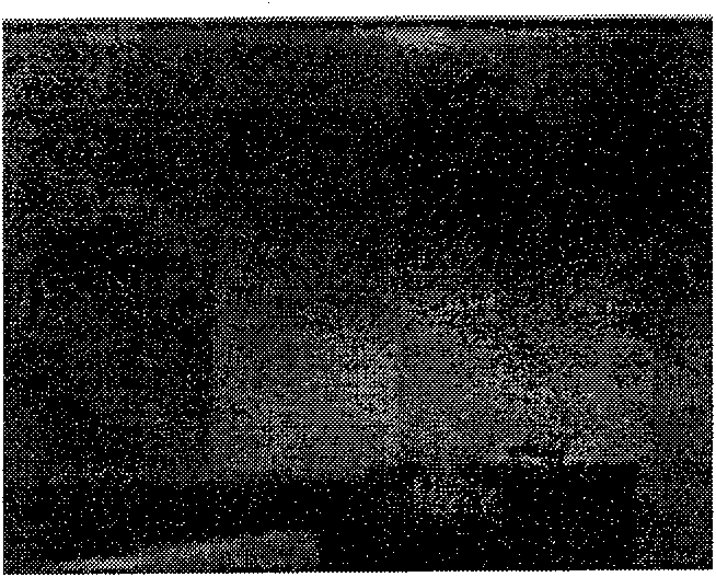 Method for detecting characteristics of video object in finite complex background