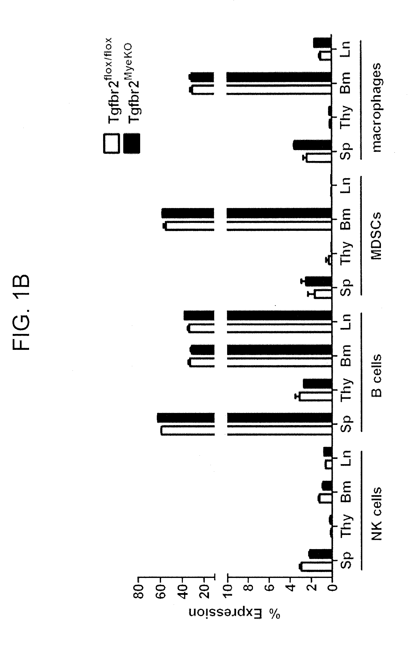 Reduction of tgf beta signaling in myeloid cells in the treatment of cancer