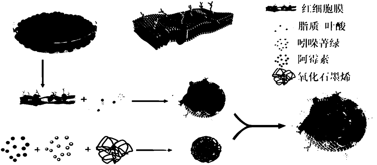 Preparation method of nano medicine controlled release system and product and application of system