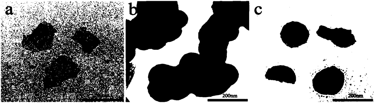 Preparation method of nano medicine controlled release system and product and application of system