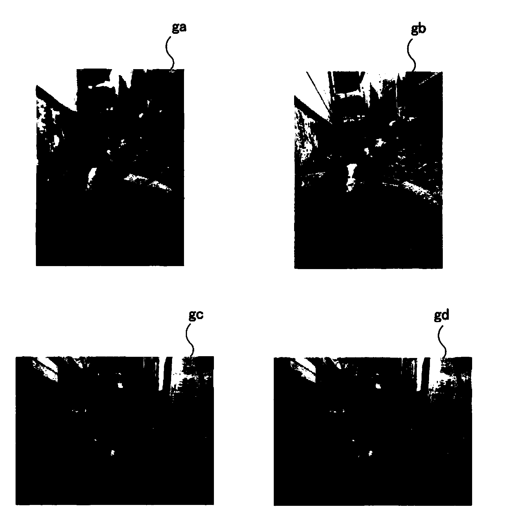 Image processing apparatus and image processing method