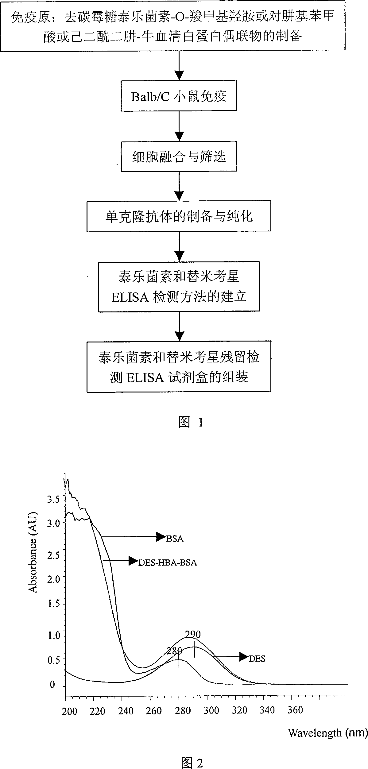 Monoclonal antibody and enzyme-linked immunoassay method and reagent kit for detecting tylosin and tilmicosin residue