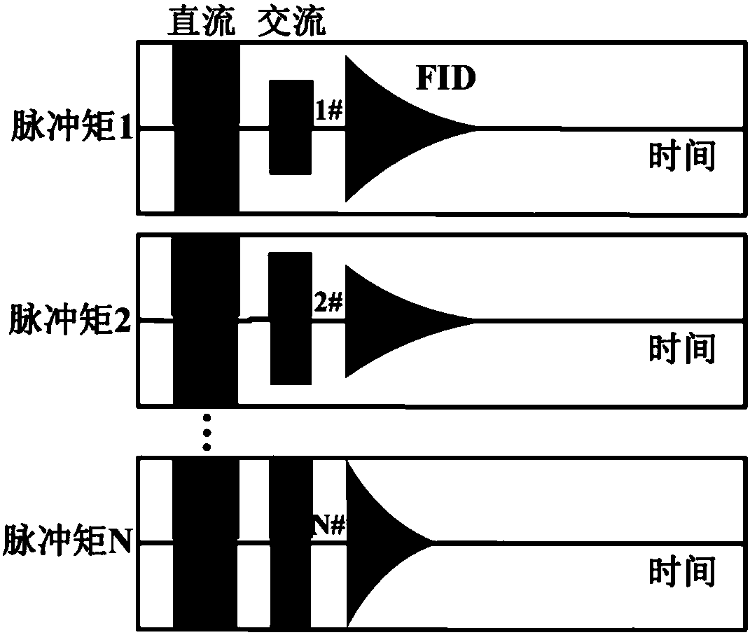 Magnetic resonance multi-channel detection method and apparatus using pre-polarization field to enhance amplitude of signal