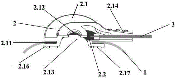 Bio-electricity signal collecting device